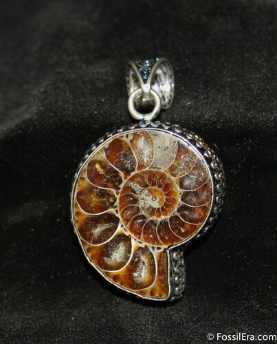 Ammonite Pendant #680